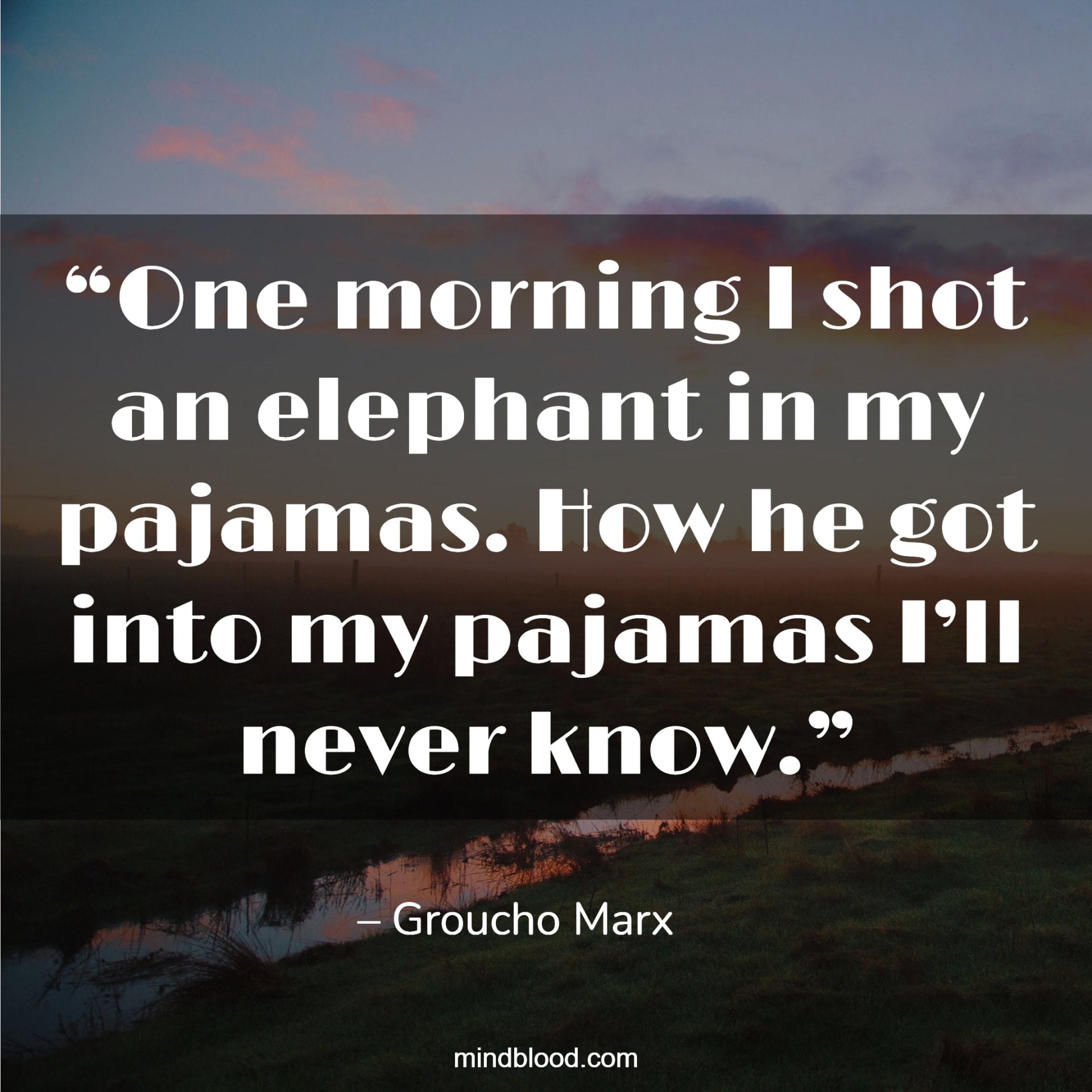 Funny Morning Quotes to Start the Day(Top 23) Mind Blood