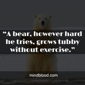 “A bear, however hard he tries, grows tubby without exercise.”