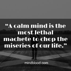 “A calm mind is the most lethal machete to chop the miseries of our life.”