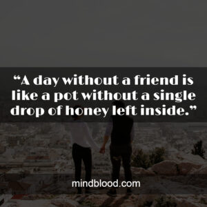 “A day without a friend is like a pot without a single drop of honey left inside.”