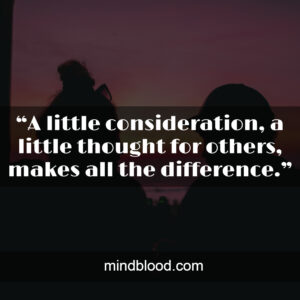 “A little consideration, a little thought for others, makes all the difference.”