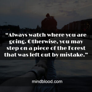 “Always watch where you are going. Otherwise, you may step on a piece of the Forest that was left out by mistake.”