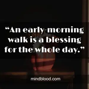 “An early-morning walk is a blessing for the whole day.”