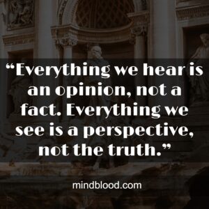 “Everything we hear is an opinion, not a fact. Everything we see is a perspective, not the truth.”