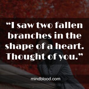 “I saw two fallen branches in the shape of a heart. Thought of you.”