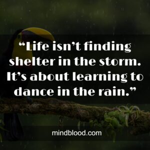 “Life isn’t finding shelter in the storm. It’s about learning to dance in the rain.”