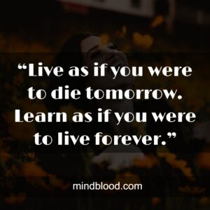 “Live as if you were to die tomorrow. Learn as if you were to live forever.”