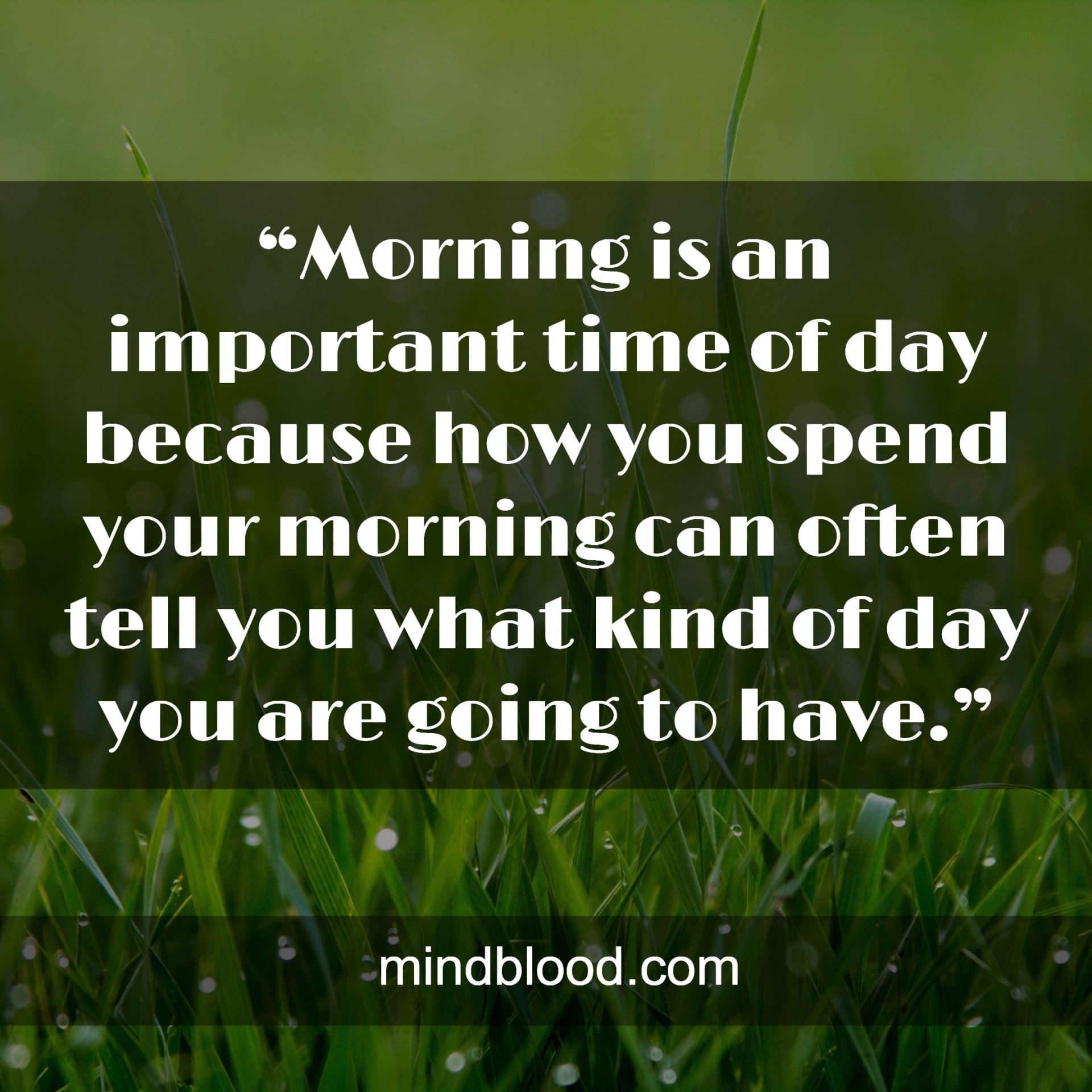 Morning Example Top 23 Good Morning Quotes With Images in English - Mind Blood