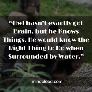 “Owl hasn’t exactly got Brain, but he Knows Things. He would know the Right Thing to Do when Surrounded by Water.”