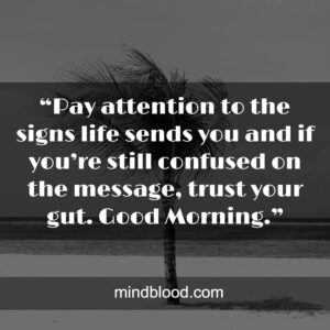 “Pay attention to the signs life sends you and if you’re still confused on the message, trust your gut. Good Morning.”
