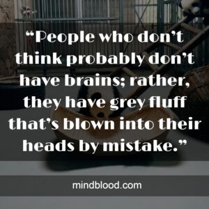 “People who don’t think probably don’t have brains; rather, they have grey fluff that’s blown into their heads by mistake.”