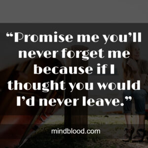 “Promise me you’ll never forget me because if I thought you would I’d never leave.”