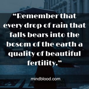 “Remember that every drop of rain that falls bears into the bosom of the earth a quality of beautiful fertility.”