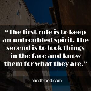 “The first rule is to keep an untroubled spirit. The second is to look things in the face and know them for what they are.”