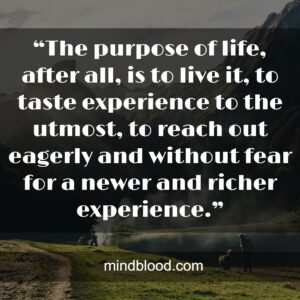 “The purpose of life, after all, is to live it, to taste experience to the utmost, to reach out eagerly and without fear for a newer and richer experience.”