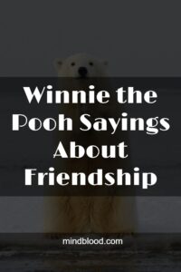 Winnie the Pooh Sayings About Friendship