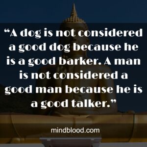 “A dog is not considered a good dog because he is a good barker. A man is not considered a good man because he is a good talker.”