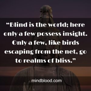 “Blind is the world; here only a few possess insight. Only a few, like birds escaping from the net, go to realms of bliss.”