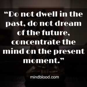 “Do not dwell in the past, do not dream of the future, concentrate the mind on the present moment.”