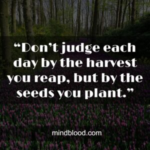 “Don’t judge each day by the harvest you reap, but by the seeds you plant.”