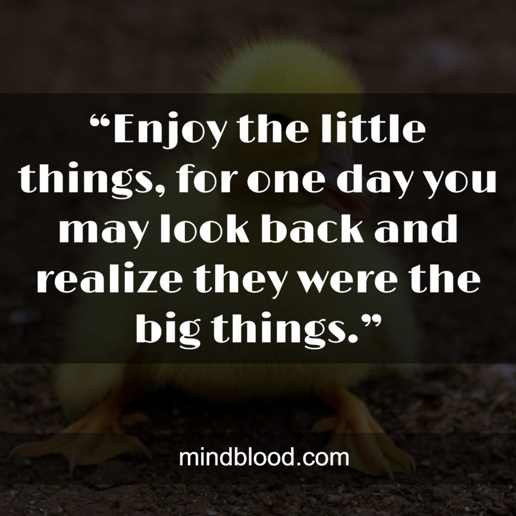 Quotes About Small Things Making Big Difference (Top 28)