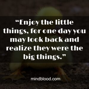 “Enjoy the little things, for one day you may look back and realize they were the big things.”