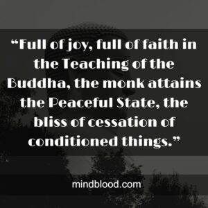 “Full of joy, full of faith in the Teaching of the Buddha, the monk attains the Peaceful State, the bliss of cessation of conditioned things.”