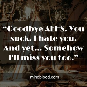 “Goodbye AEHS. You suck. I hate you. And yet... Somehow I'll miss you too.”