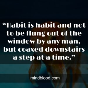 “Habit is habit and not to be flung out of the window by any man, but coaxed downstairs a step at a time.”