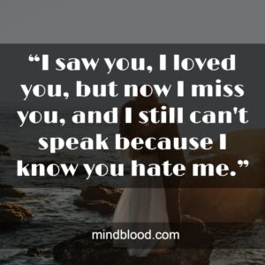 “I saw you, I loved you, but now I miss you, and I still can't speak because I know you hate me.”