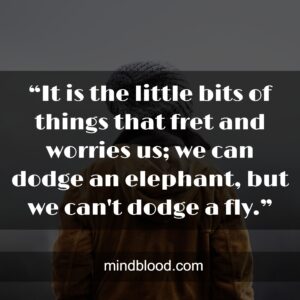 “It is the little bits of things that fret and worries us; we can dodge an elephant, but we can't dodge a fly.”