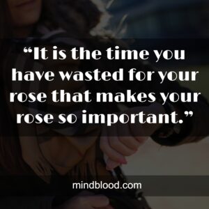 “It is the time you have wasted for your rose that makes your rose so important.”