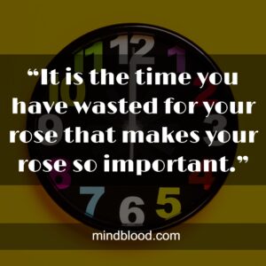 “It is the time you have wasted for your rose that makes your rose so important.”