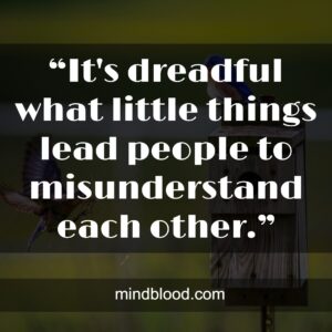 “It's dreadful what little things lead people to misunderstand each other.”