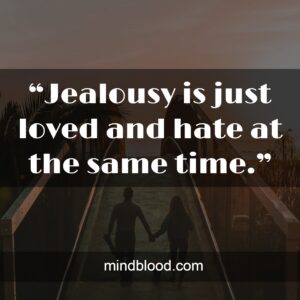 “Jealousy is just loved and hate at the same time.”