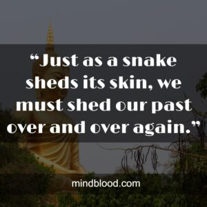 “Just as a snake sheds its skin, we must shed our past over and over again.”