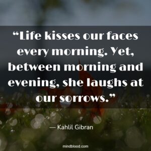 “Life kisses our faces every morning. Yet, between morning and evening, she laughs at our sorrows.”
