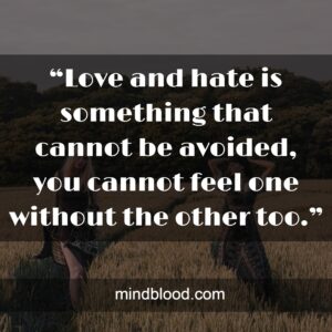 “Love and hate is something that cannot be avoided, you cannot feel one without the other too.”