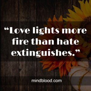 “Love lights more fire than hate extinguishes.”