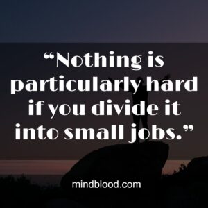 “Nothing is particularly hard if you divide it into small jobs.”