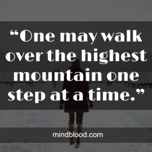 “One may walk over the highest mountain one step at a time.”