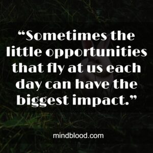 “Sometimes the little opportunities that fly at us each day can have the biggest impact.”