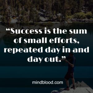 “Success is the sum of small efforts, repeated day in and day out.”