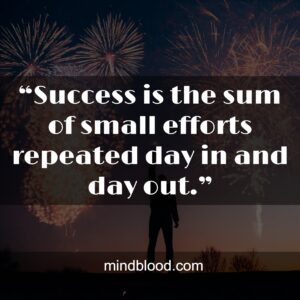 “Success is the sum of small efforts repeated day in and day out.”