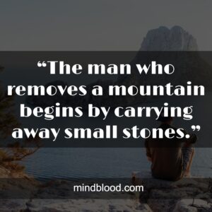 “The man who removes a mountain begins by carrying away small stones.”