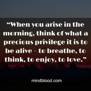 “When you arise in the morning, think of what a precious privilege it is to be alive – to breathe, to think, to enjoy, to love.”