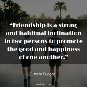 “Friendship is a strong and habitual inclination in two persons to promote the good and happiness of one another.”