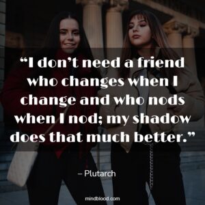 “I don’t need a friend who changes when I change and who nods when I nod; my shadow does that much better.”