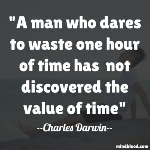 A man who dares to waste one hour of time has  not discovered the value of time