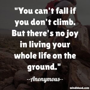 You can't fall if you don't climb. But there's no joy in living your whole life on the ground.